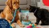 Top 10 Must-Have Pet Accessories for a Happy and Healthy Pet