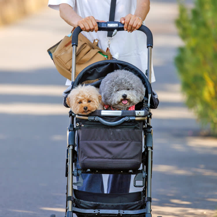 Strollers & Carriers