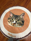 Tailor-made Pet Carpet