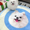 Tailor-made Pet Carpet