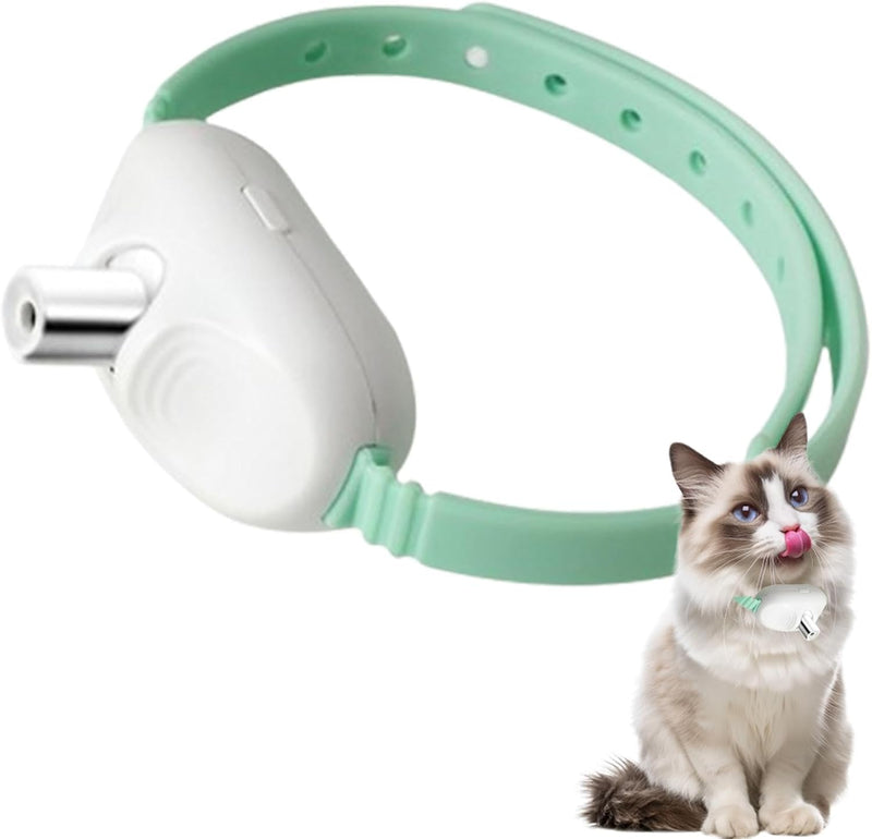 Collier laser pour chat – Jouet d'amusement