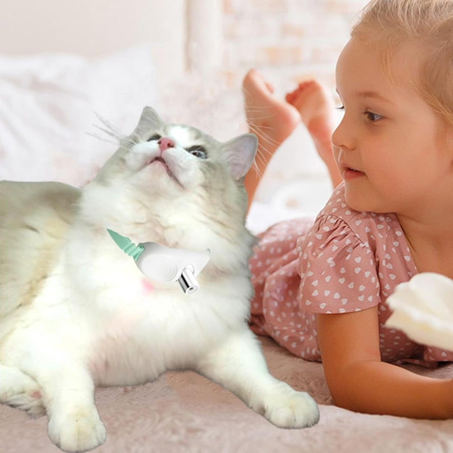 Katzen-Laserhalsband – Teaserspielzeug