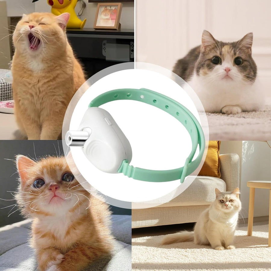 Katzen-Laserhalsband – Teaserspielzeug