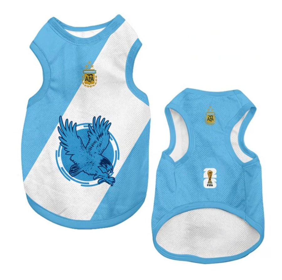 World Cup Series A - Argentina Home