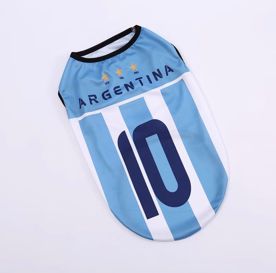 World Cup Series B - Argentina