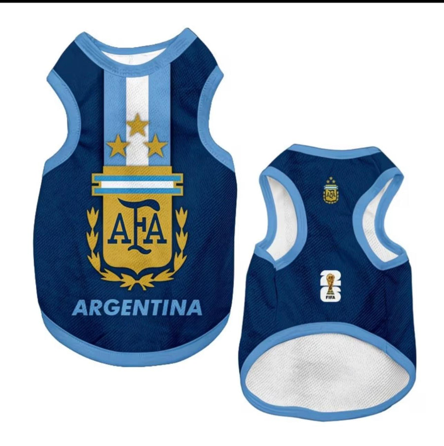 World Cup Series A - Argentina Away