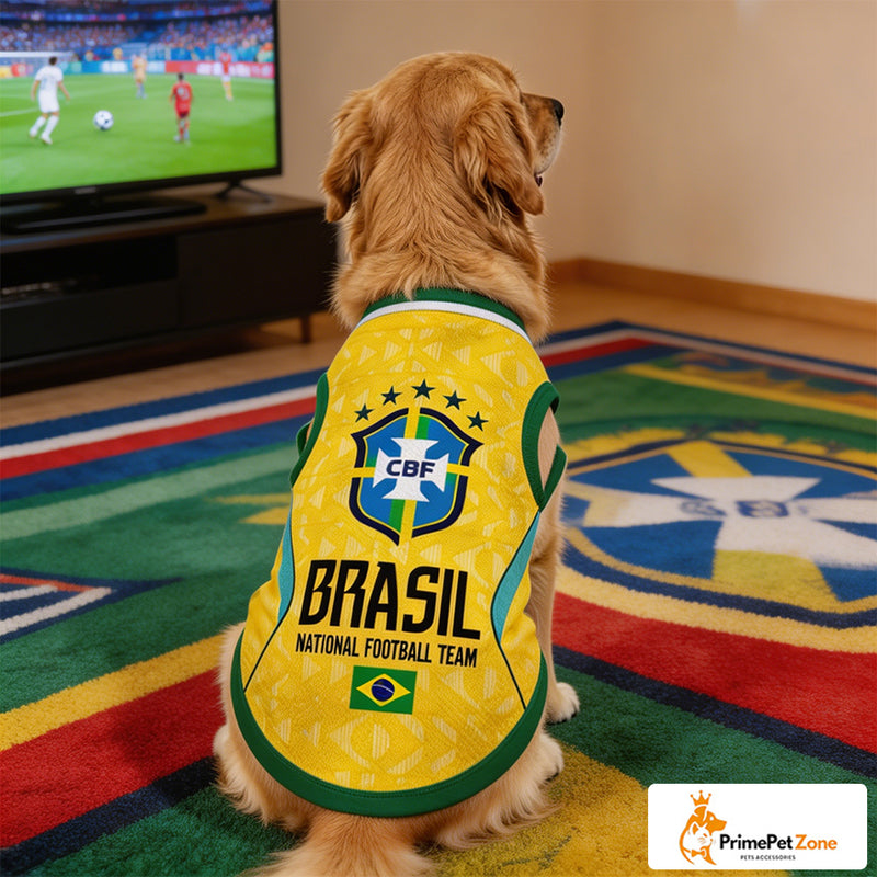 Brasilien - Startseite