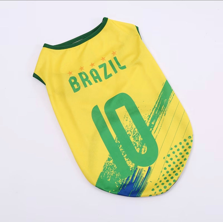World Cup Series B - Brazil
