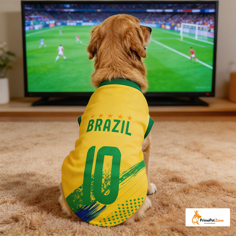 Brasilien 10 - Zuhause