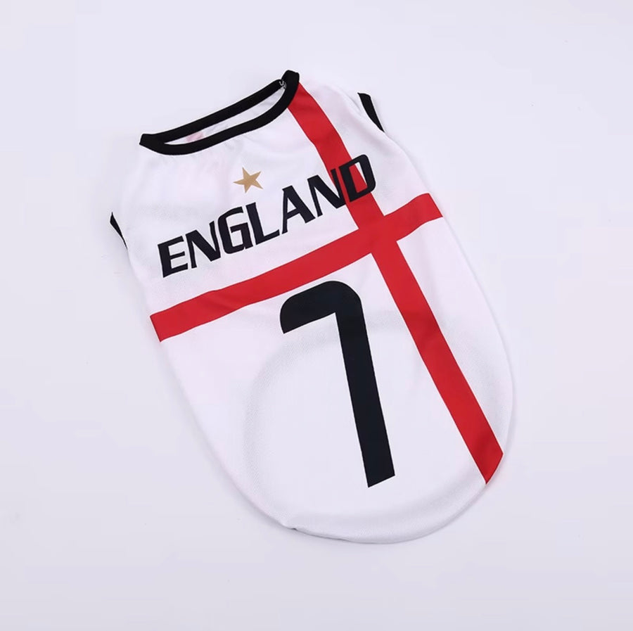 World Cup Series B - England