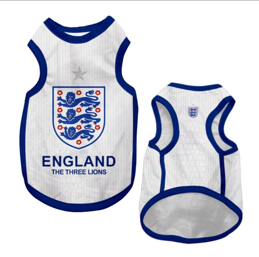 World Cup Series A - England Home