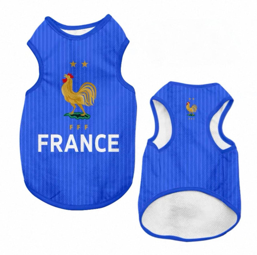 World Cup Series A - France Home