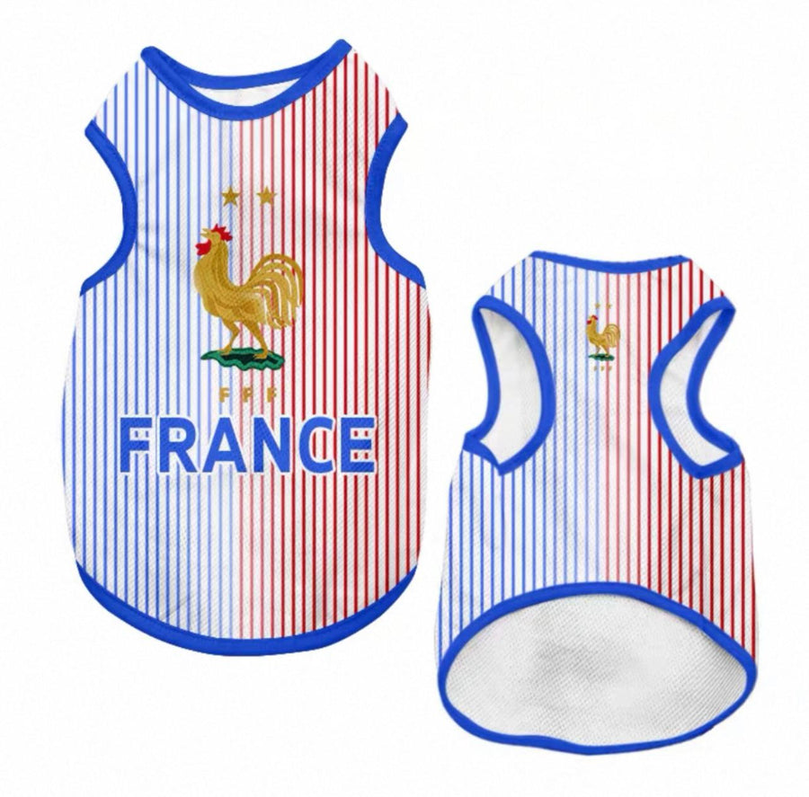 World Cup Series A - France Away
