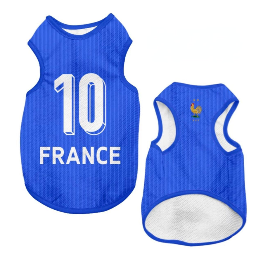 World Cup Series A - France 10 Home