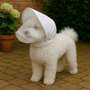 Dog Protective Head Net