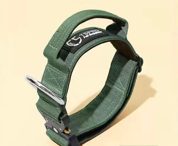 Collier de chien haut de gamme avec boucle robuste