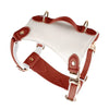 Luxury Leather Dog Harness
