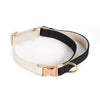 Classic Leather Pet Collar