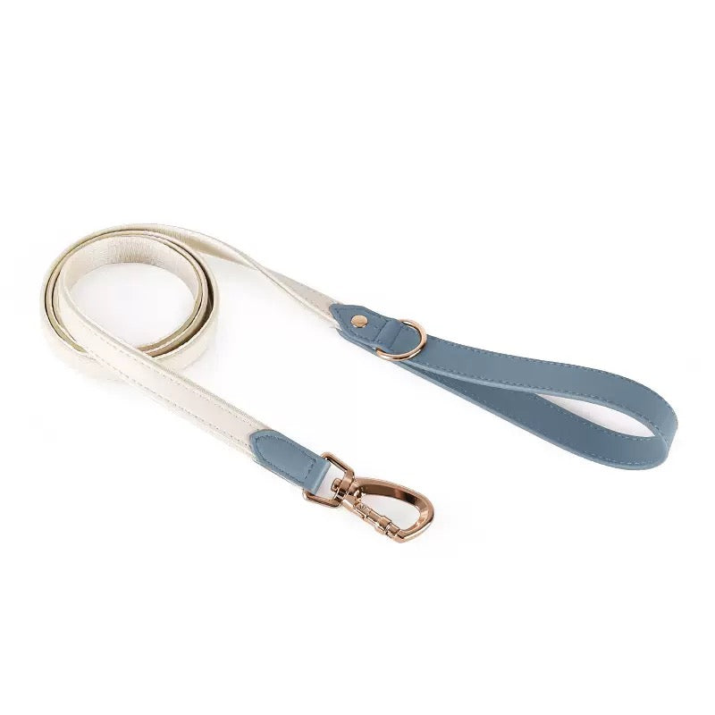 Laisses classiques en cuir pour animaux de compagnie