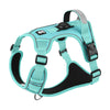 Nylon Dog Harness with Reflective Strips