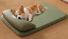 Dog Mat with Waterproof Cover and Pillow