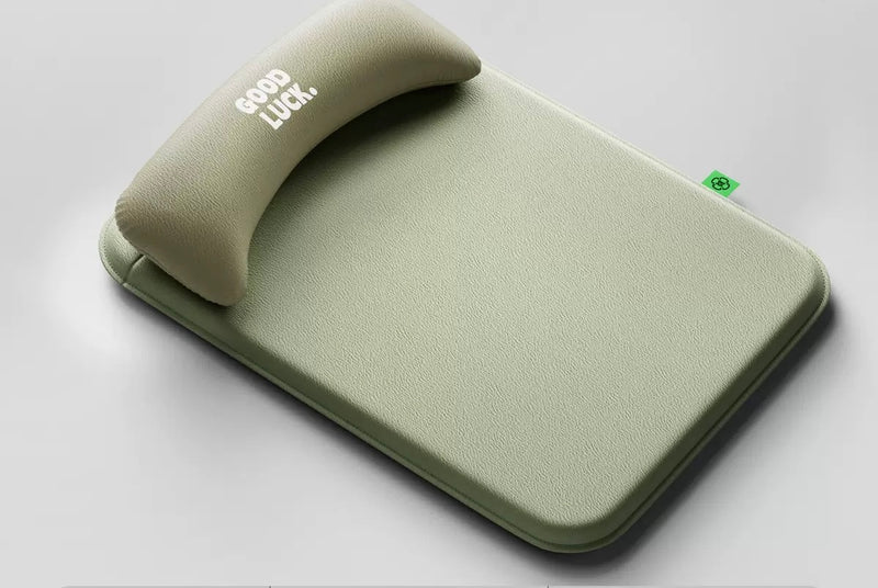 Tapis pour chien avec housse imperméable et oreiller