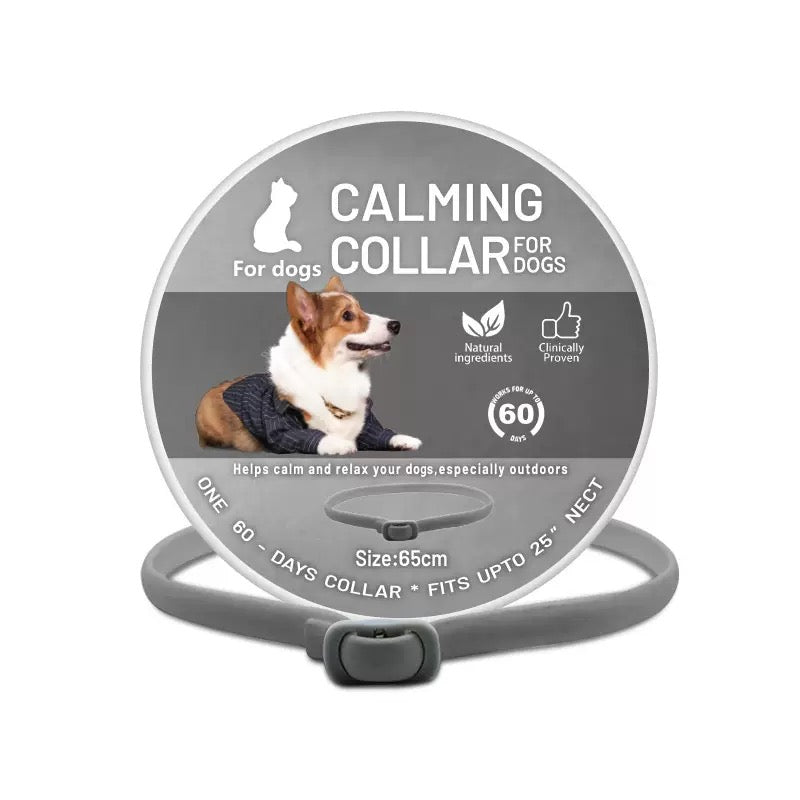 Collier apaisant pour chien