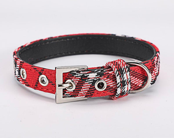 Dog Collar