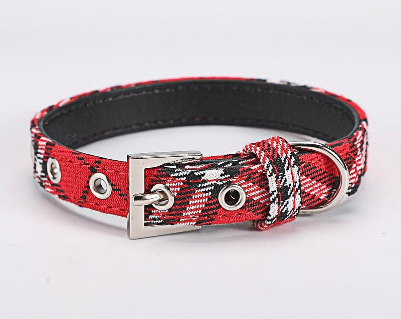Collier étrangleur pour chien