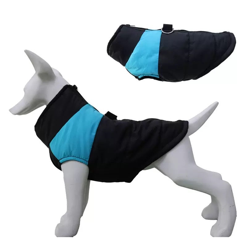 Gilet d'hiver pour chien
