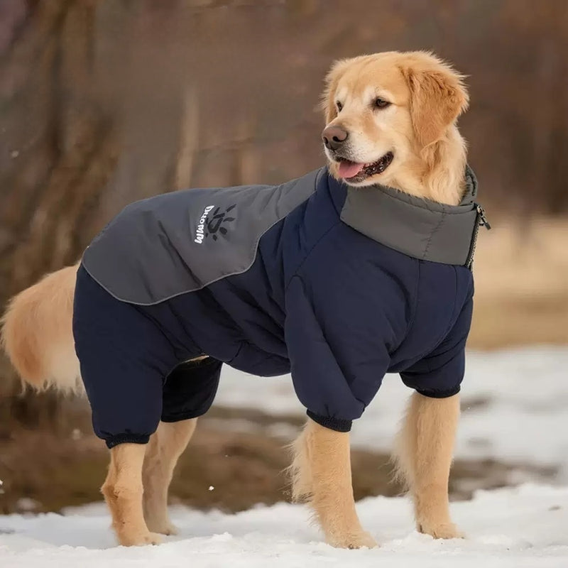 Big Dog Winter Warm Jacket