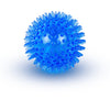 Squeaky Dog Toy Ball