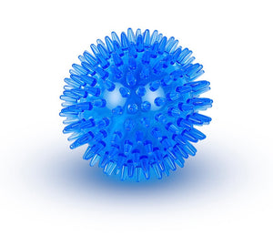 Squeaky Dog Toy Ball