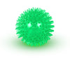 Squeaky Dog Toy Ball