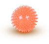 Squeaky Dog Toy Ball