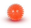 Squeaky Dog Toy Ball