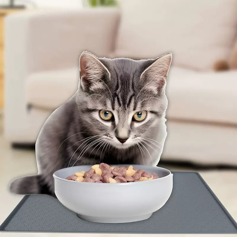 Tapis de Repas Imperméable pour Animaux
