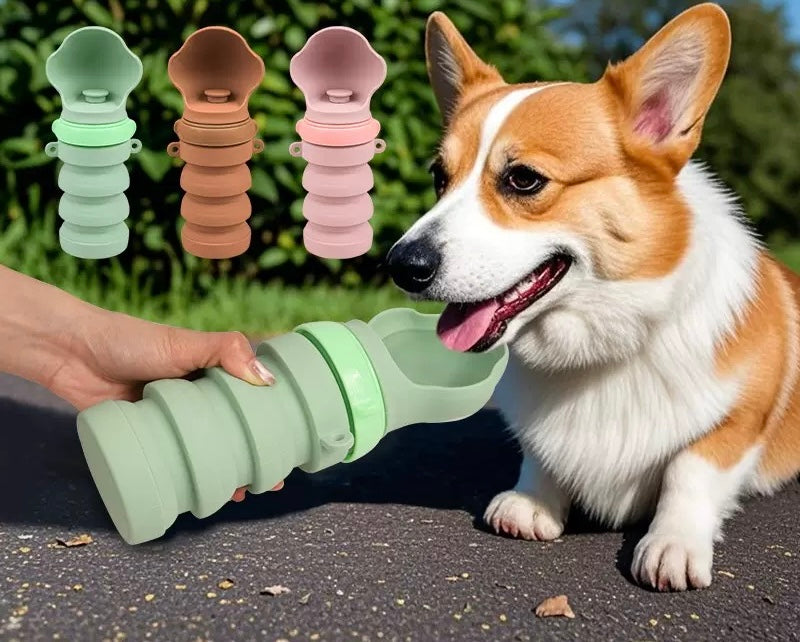 Collapsible Water Bottle