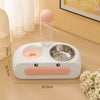 Cat Water and Food Bowl Set