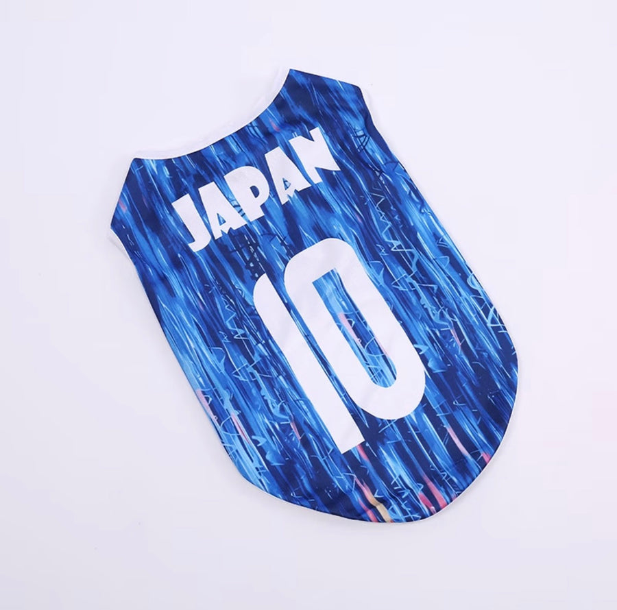 World Cup Series B - Japan