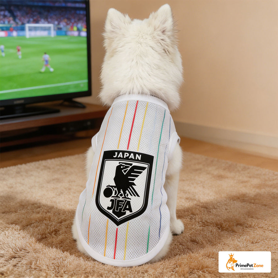 Japan - Away