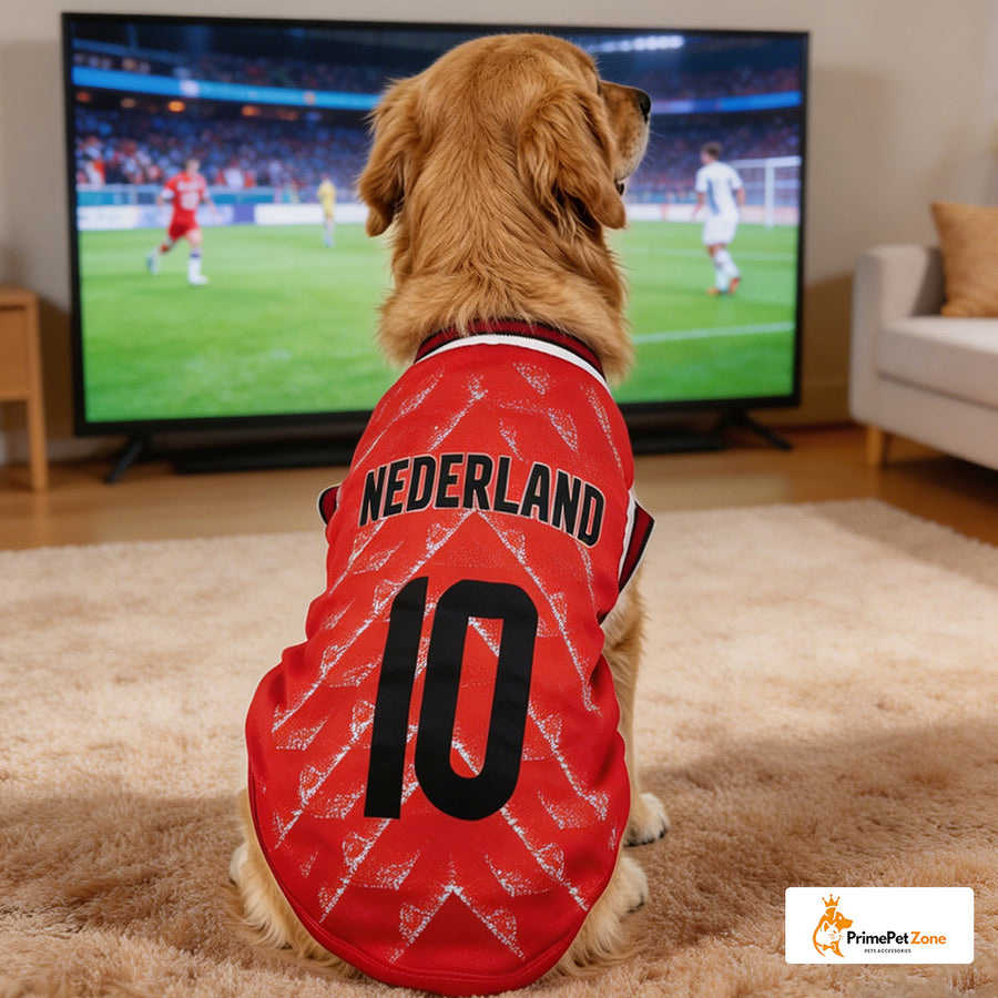 Nederland 10 - Home