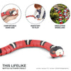 Interactive & rechargeable Sensing Snake Pet Toy