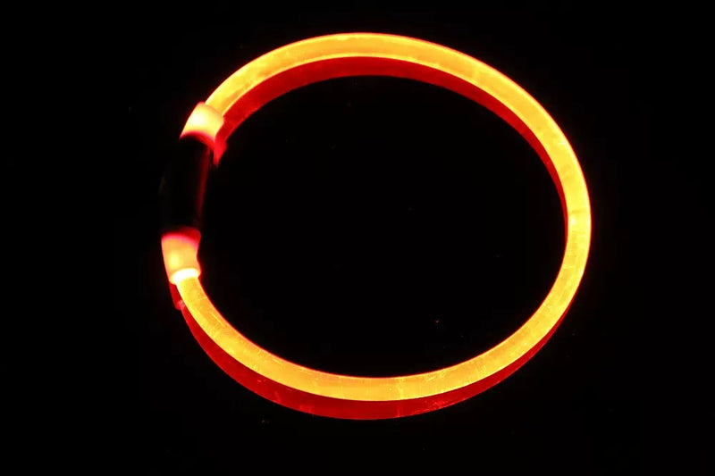 Collier lumineux rechargeable pour animaux de compagnie
