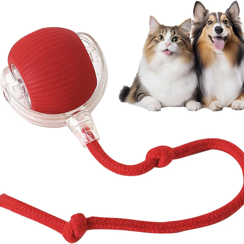 Jouets à balles automatiques pour animaux de compagnie