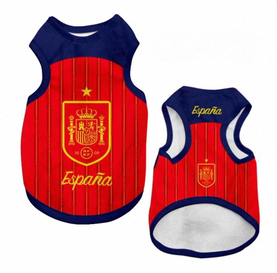 World Cup Series A - Spain Home