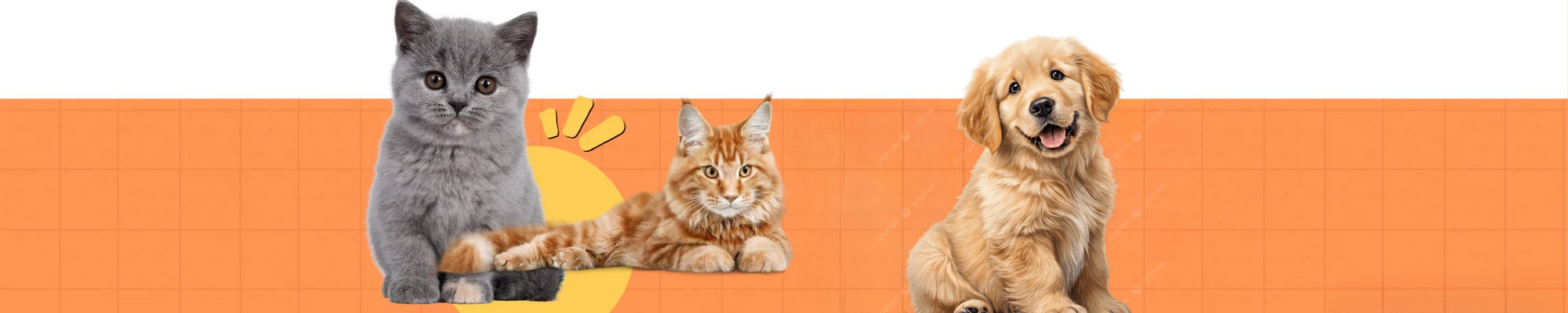 Water Bottle/Dispenser