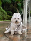 Transparent Dog Raincoat with Hood
