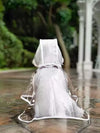 Transparent Dog Raincoat with Hood