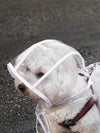 Transparent Dog Raincoat with Hood